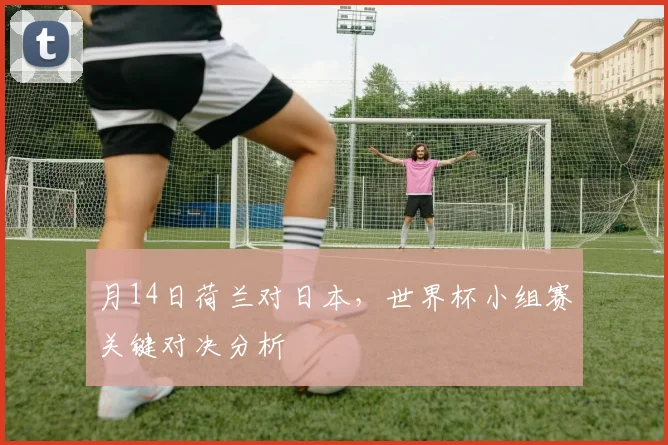 月14日荷兰对日本，世界杯小组赛关键对决分析