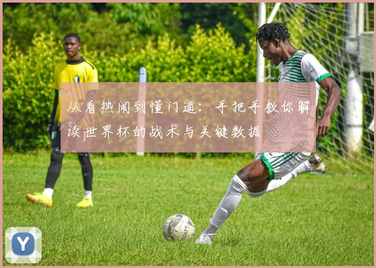 从看热闹到懂门道：手把手教你解读世界杯的战术与关键数据